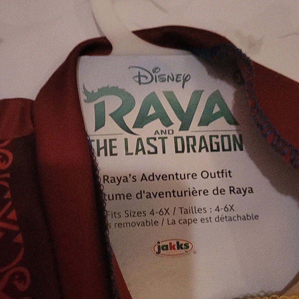 Disney Raya and the Last Dragon Disney Raya The Last Dragon Warrior Costume